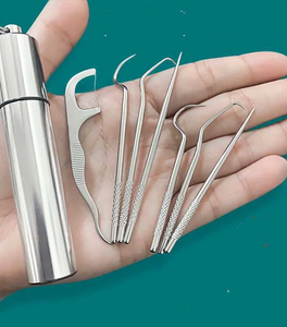 Stainless Steel Toothpick Tools Set (60% OFF TODAY!)